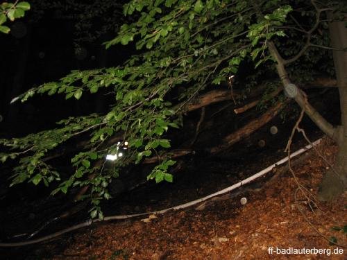 2011_06_02 Waldbrand Kummel Richtung Bismarkturm 09